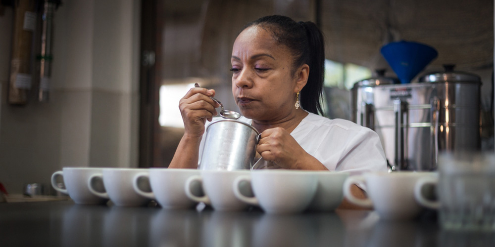 Planta de la trilladora Santa Teresita