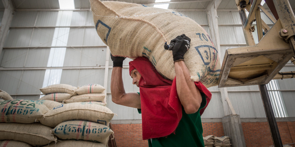Planta de la trilladora Santa Teresita