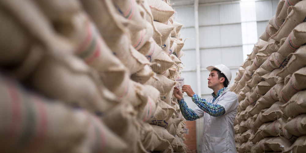 Planta de la trilladora Santa Teresita
