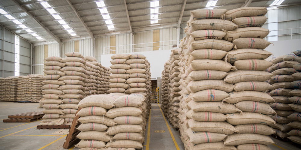 Planta de la trilladora Santa Teresita