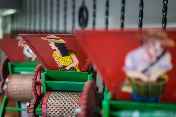 Taza de café. Foto por César Romero 2018