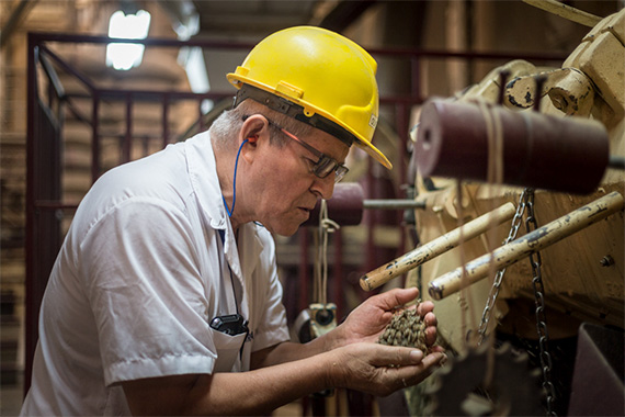 Trabajador seleccionado café. Foto por César Romero 2018